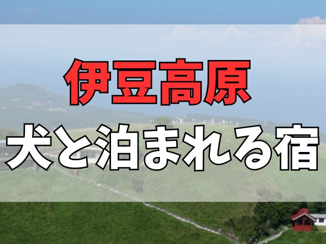 伊豆高原で犬と泊まれる宿